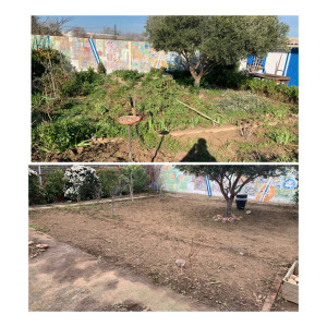 Photo de galerie - Nettoyage d’un petit jardin 