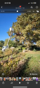 Photo de galerie - Avec camion nacelle 