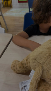 Photo de galerie -    ´