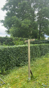 Photo de galerie - Taille de haie