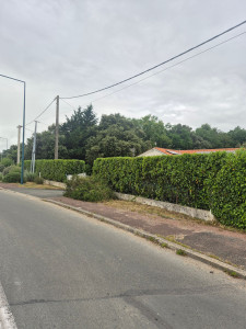 Photo de galerie - Taille sur les 3 façades avec évacuation