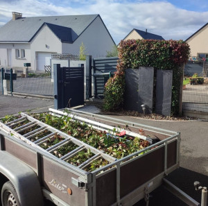 Photo de galerie - Taille de haies et d'arbustes