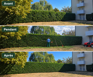 Photo de galerie - Chaque chantier est réalisé avec sérieux et attention afin de redonner à votre jardin un aspect soigné et agréable.