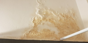 Photo de galerie - 1 mur de la salle de bain à rénover et repeindre 