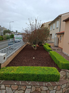 Photo de galerie - Paysagiste - Aménagement du jardin