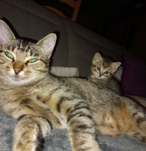 Photo de galerie - Voici Marie et son bébé Princesse.