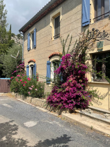 Photo de galerie - Aménagement de jardinière 