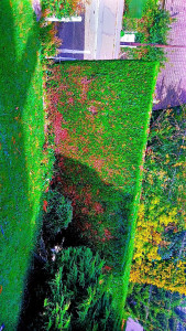 Photo de galerie - Tres propre