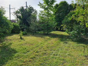 Photo de galerie - Jardin propre.