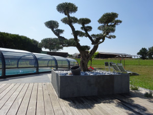 Photo de galerie - Paysagiste - Aménagement du jardin