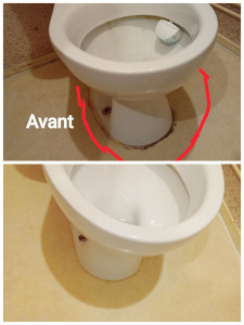Photo de galerie - Nettoyage minutieux des sanitaires, avec un travail ciblé sur les zones encrassées et difficiles d’accès. Élimination complète des dépôts incrustés autour de la base de la cuvette. Résultat propre, net et uniforme
