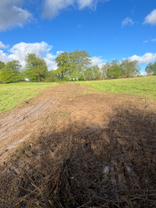 Photo de galerie - Arrachages d’une haie entre deux pâtures