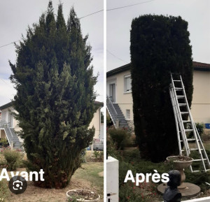 Photo de galerie - Taille