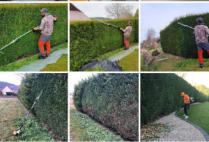 Photo de galerie - Nettoyage, élagage