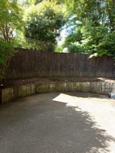 Photo de galerie - Nettoyage de massif