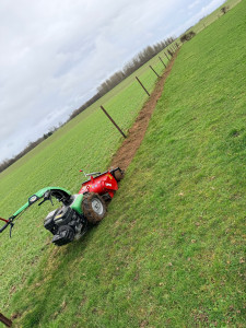 Photo de galerie - Paysagiste - Aménagement du jardin