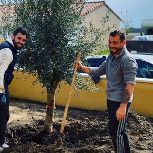 Photo de galerie - Paysagiste - Aménagement du jardin