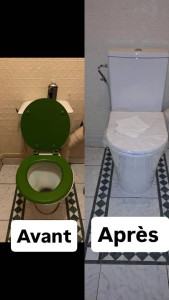 Photo de galerie - Changement wc 