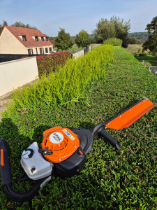 Photo de galerie - Taille de thuya. 