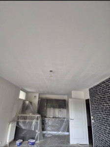 Photo de galerie - Peinture - Tapisserie