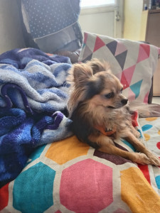 Photo de galerie - Tao que j'ai eu en garde 3 jours 