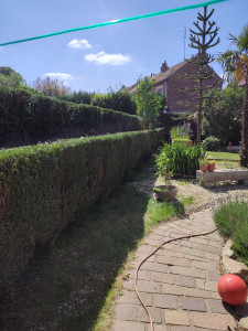 Photo de galerie - Après 