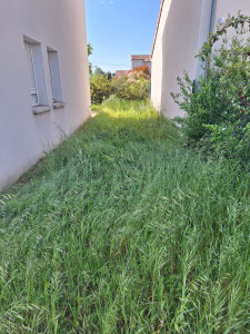 Photo de galerie - Tonte mulching 