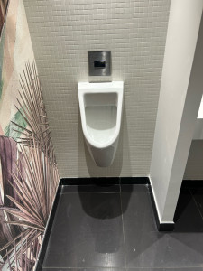 Photo de galerie - Pose urinoir 