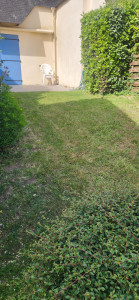 Photo de galerie - Tonte et entretien 