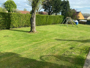 Photo de galerie - Tonte pelouse et taille de haie