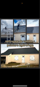 Photo de galerie - Nettoyage ardoise avec anti mousse, peinture hydrofuge