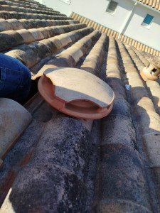 Photo de galerie - Ventilateur (usage domestique)