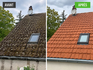 Photo de galerie - Nettoyage toiture