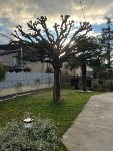 Photo de galerie - Après 