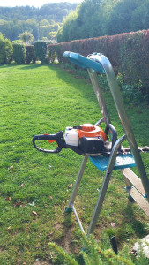 Photo de galerie - Taille de haies et arbustes 