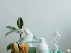 Photo de galerie - Cette photo illustre des produits d'entretien