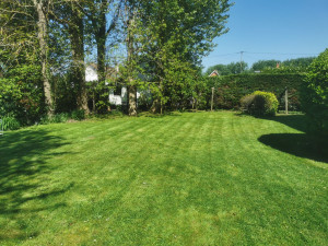 Photo de galerie - Tonte de pelouse