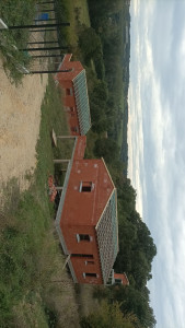 Photo de galerie - Charpente 