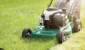 Photo de galerie - Tonte de pelouse - Débroussaillage