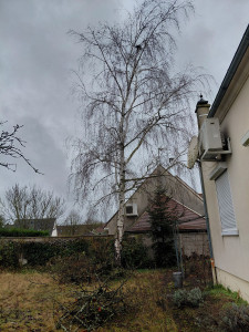 Photo de galerie - Avant