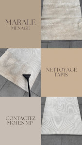 Photo de galerie - Nettoyage tapis 