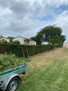 Photo de galerie - Photo de la taille terminé 
