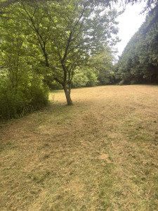 Photo de galerie - Après chantier