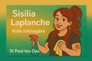 Photo de galerie - Ménage, repassage et vitre