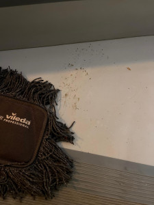 Photo de galerie - Entretien 