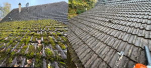 Photo de galerie - Démoussage 