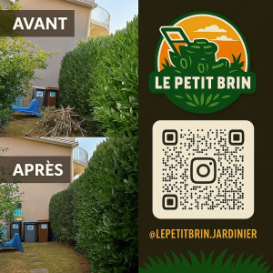 Photo de galerie - Taille de haie plus ramassage d'une coupe d'un cerisier