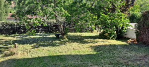 Photo de galerie - Tonte et débroussailler cher une cliente satisfaite 