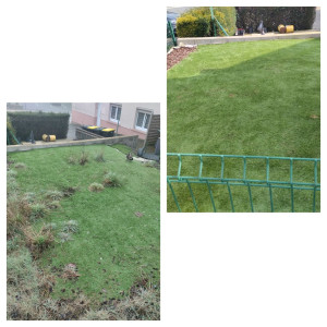 Photo de galerie - Nettoyage de terrain plus précisément arrachage de mauvaise herbes