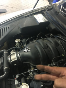 Photo de galerie - Mot